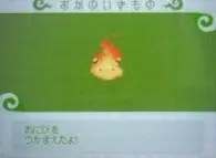 とんがりボウシ　おにび
