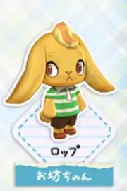 とんがりボウシのロップ