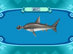 とんがりボウシのハンマーヘッド