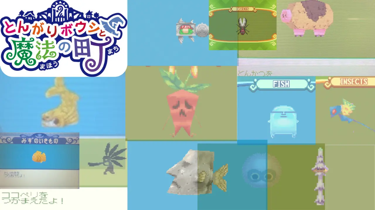 とんがりボウシの生物一覧-虫と魚