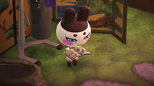 どうぶつの森のゲンジ